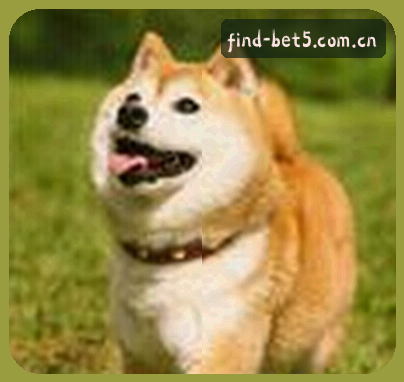 张欣